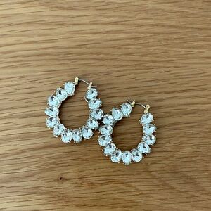 Elegant Gold and Silver Hoop Earrings